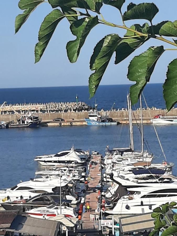 Alnis Boutique Villa Constanta Bagian luar foto